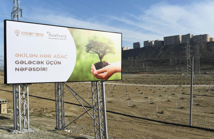 Ekologiya və Təbii Sərvətlər Nazirliyi, “Azərişıq” və “AzərEnerji” birgə ağacəkmə aksiyası keçirib.