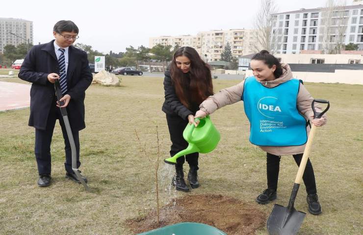 “Yaşıl Marafon 2023” ağacəkmə kampaniyasına start verilib