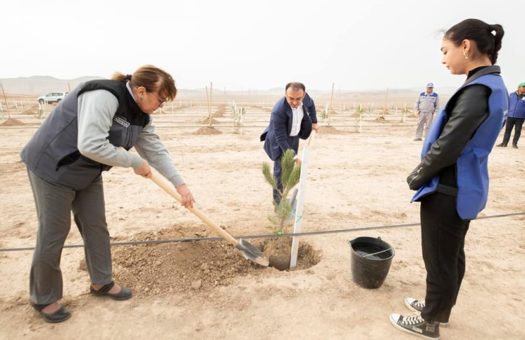 4 noyabr 2023-cü il tarixində Ekologiya və Təbii Sərvətlər Nazirliyi və “ASAN xidmət”in “YAŞAT” Fondunun birgə əməkdaşlığı çərçivəsində ağacəkmə aksiyası keçirilib.