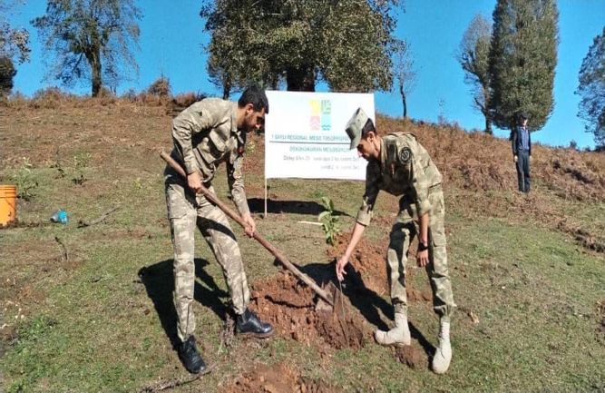 8 noyabr - Zəfər Günündə Astara və Masallı rayonlarında ağacəkmə aksiyaları keçirilib