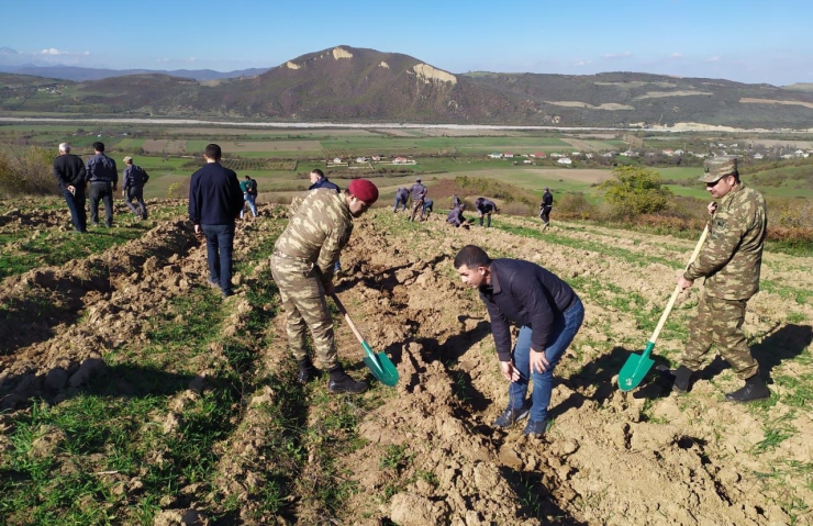Zəfər Günündə Quba, Qusar, Şabran, Siyəzən, İsmayıllıda da ağacəkmə aksiyaları keçirilib