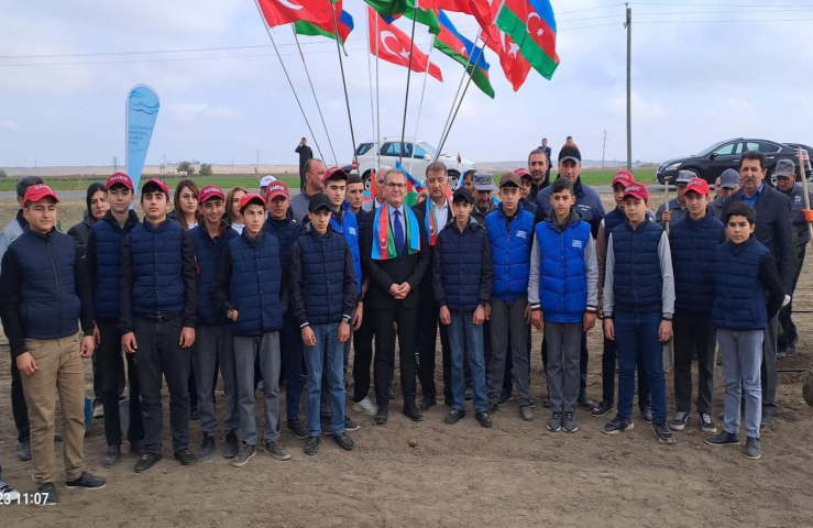 "Türk dövlətləri milli ağaclandırma günü" münasibətilə Samux rayonunda da ağacəkmə aksiyası təşkil edilib