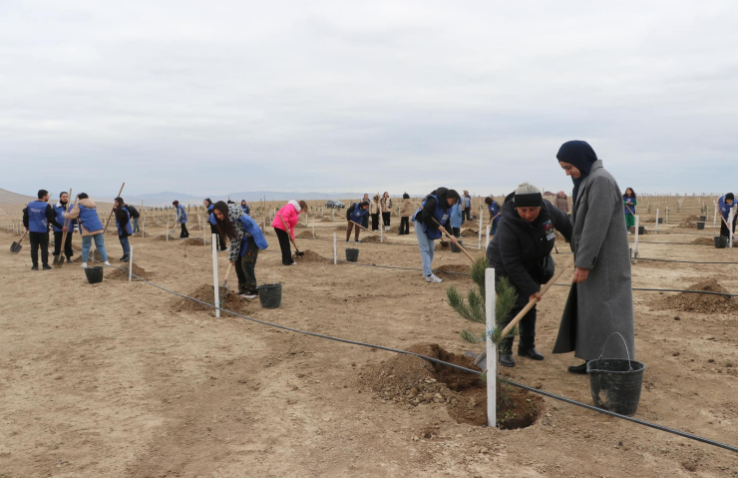 Müşfiqabad qəsəbəsində növbəti ağacəkmə aksiyası keçirilib