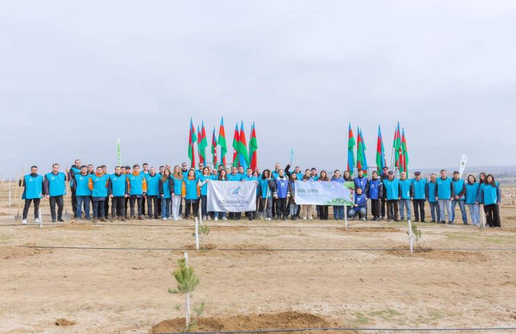 “Yaşıl dünya naminə həmrəylik ili”ndə ağacəkmə aksiyaları davam edir