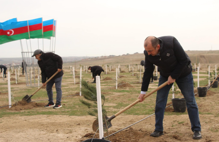 “Yaşıl dünya naminə həmrəylik ili”ndə ağacəkmə aksiyaları davam edir