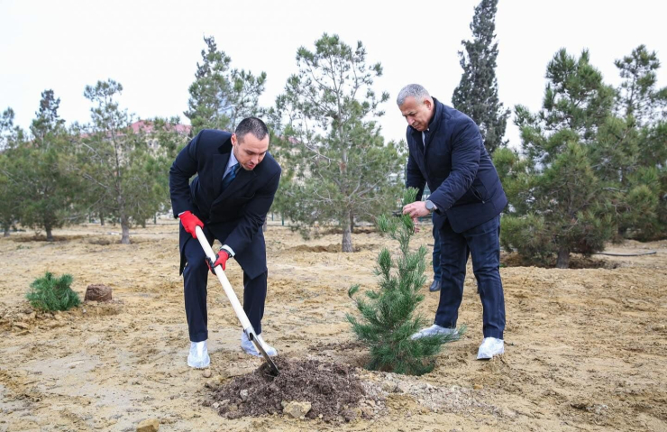 5 mart Bədən Tərbiyəsi və İdman Günü münasibətilə ağacəkmə aksiyası keçirilib