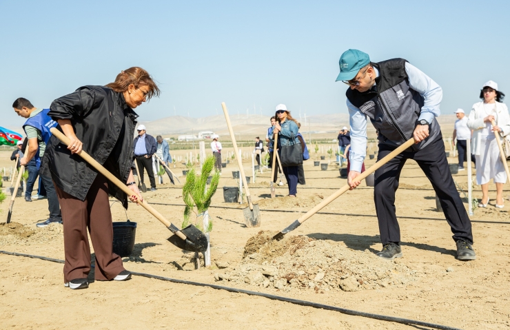 Anım Günü ilə əlaqədar ağacəkmə tədbiri keçirilib