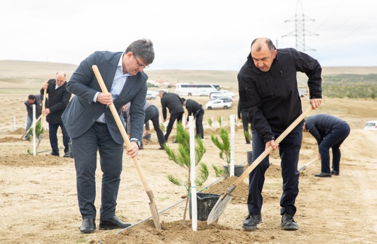 27 Sentyabr – Anım Gününə həsr olunmuş ağacəkmə aksiyası keçirilib