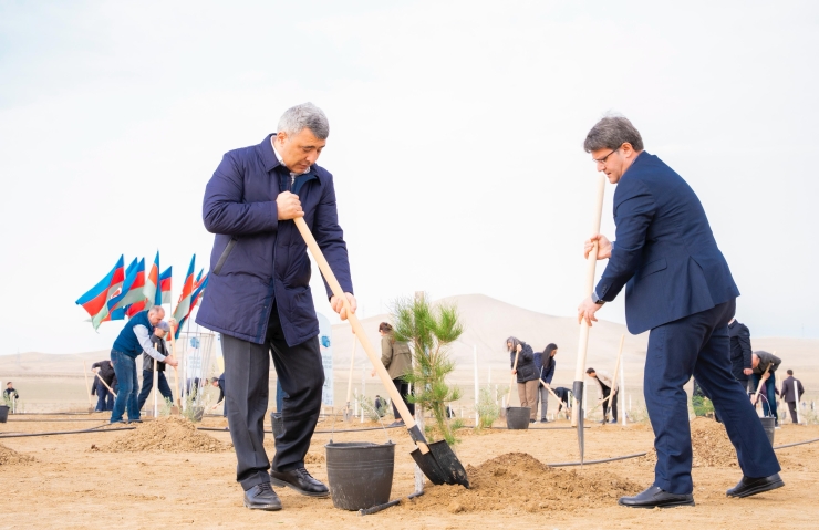Ağacəkmə aksiyası keçirilib