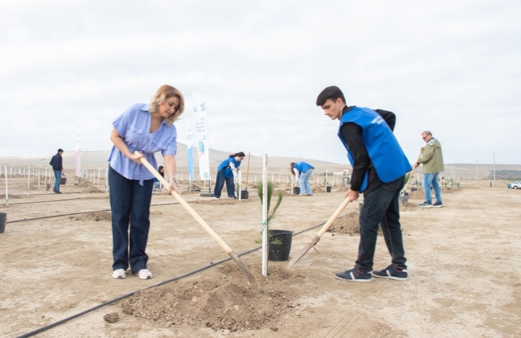 Payız əkin mövsümü çərçivəsində ağacəkmə aksiyası təşkil olunub