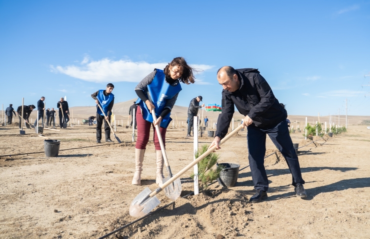 Zəfər Gününə həsr olunmuş ağacəkmə aksiyası keçirilib