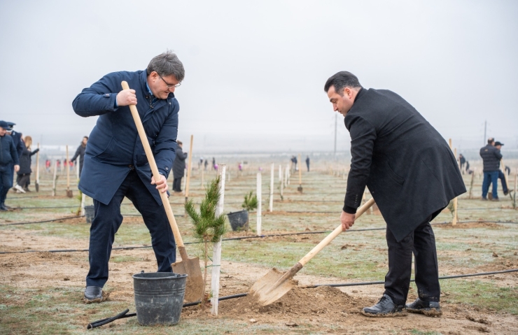 Xocalı soyqırımı qurbanlarının xatirəsinə həsr olunmuş ağacəkmə aksiyası keçirilib