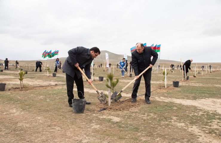 Torpaq çərşənbəsində ağacəkmə aksiyası keçirilib