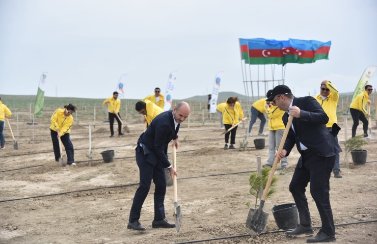 Ekologiya və Təbii Sərvətlər Nazirliyi təşkilatçılığı ilə növbəti ağacəkmə aksiyası keçirilib
